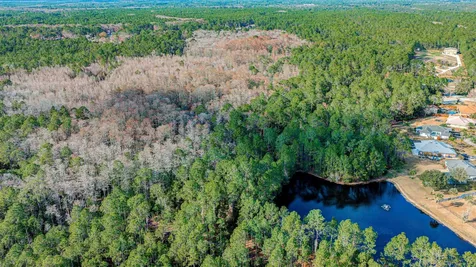 State Road 206 E St Augustine FL 32086