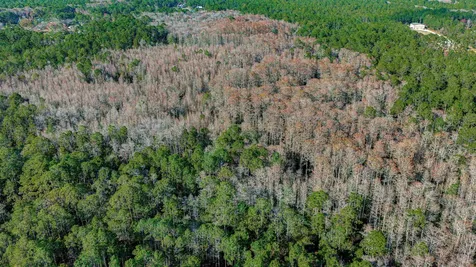 State Road 206 E St Augustine FL 32086