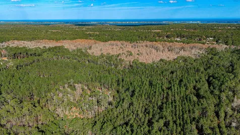 State Road 206 E St Augustine FL 32086