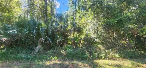 427 Dogwood Avenue Georgetown FL 32139