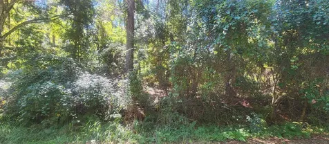 421 Dogwood Avenue Georgetown FL 32139
