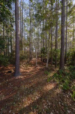 64 Grand Ravine Drive St Augustine FL 32086