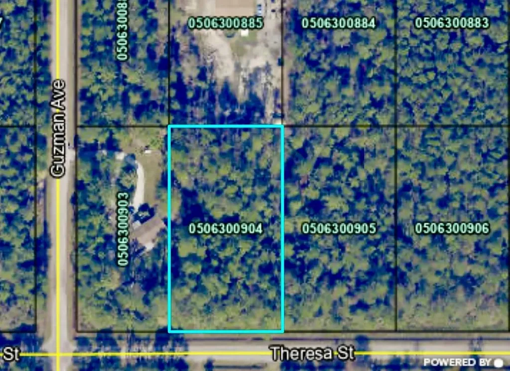 4260 Theresa Street Hastings FL 32145