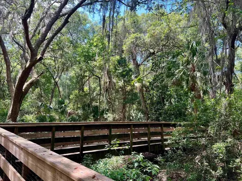 655 E Bianca Circle St Augustine FL 32086