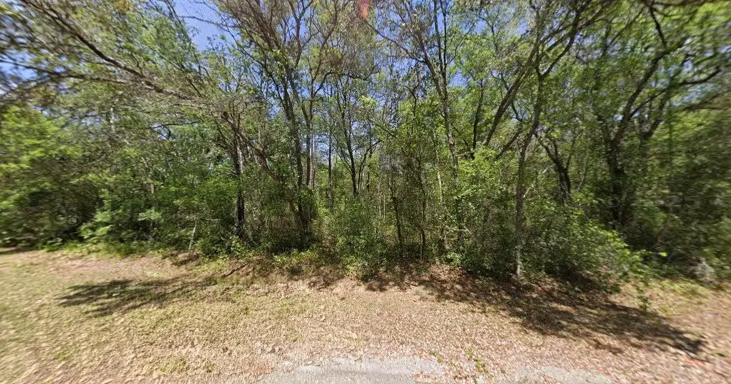 Guava Lane Track Ocklawaha FL 32179