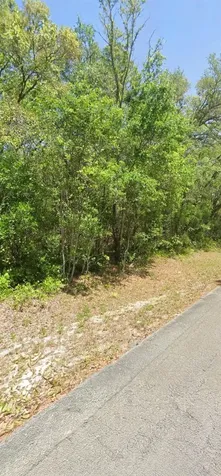 Guava Lane Track Ocklawaha FL 32179