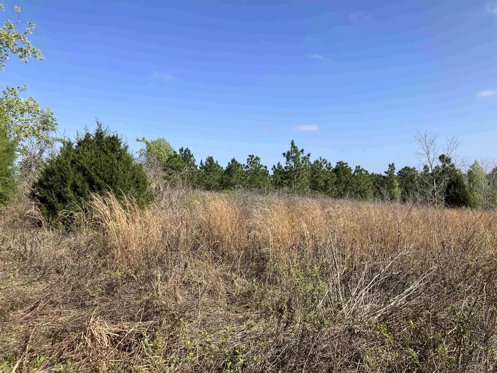 1083 N Obrien Point Lecanto FL 34461