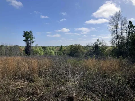 1083 N Obrien Point Lecanto FL 34461