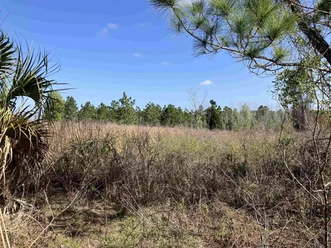 1083 N Obrien Point Lecanto FL 34461