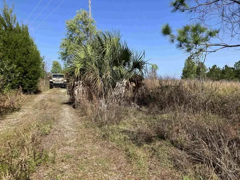 1083 N Obrien Point Lecanto FL 34461