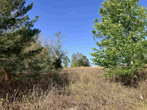 1083 N Obrien Point Lecanto FL 34461