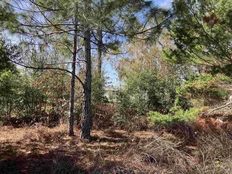 1083 N Obrien Point Lecanto FL 34461