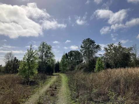 1083 N Obrien Point Lecanto FL 34461