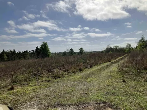 1083 N Obrien Point Lecanto FL 34461
