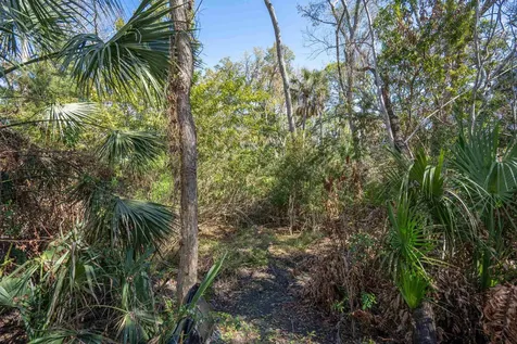 236 Nesmith Avenue St Augustine FL 32084