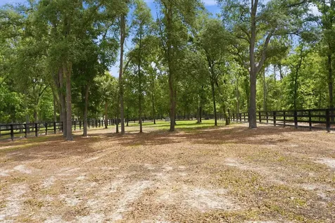 130 & 131 Dancing Horse Drive Hastings FL 32145