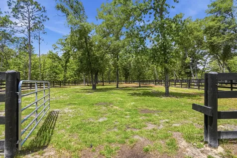 130 & 131 Dancing Horse Drive Hastings FL 32145