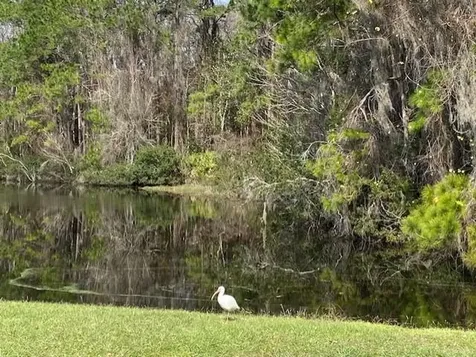5161 Cypress Links Boulevard Elkton FL 32033