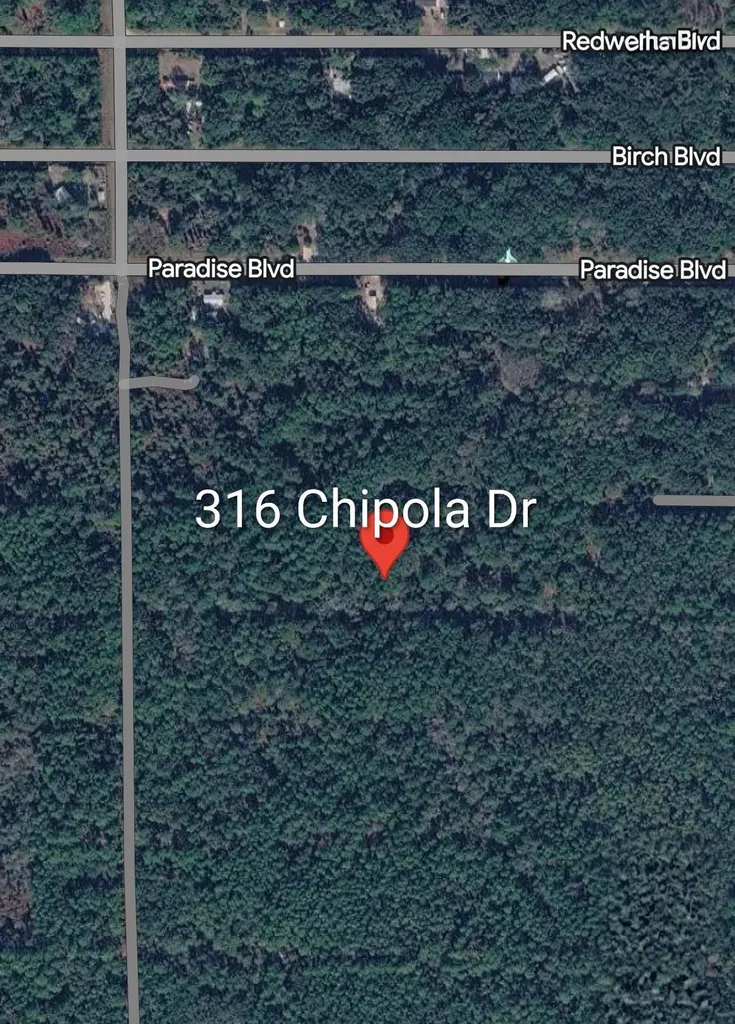 316 Chipola Drive Georgetown FL 32139