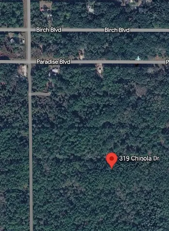 319 Chipola Drive Georgetown FL 32139