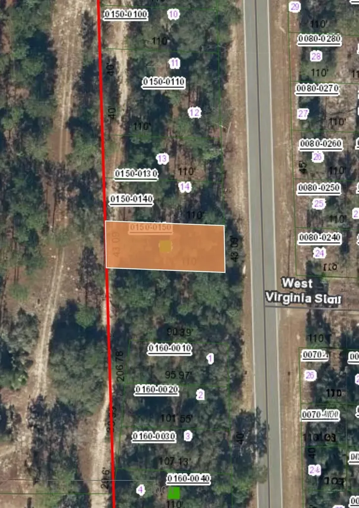 Baden Powell Road Hawthorne FL 32640