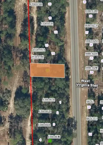 Baden Powell Road Hawthorne FL 32640