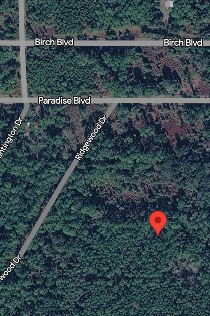 215 Laisy Drive Georgetown FL 32139