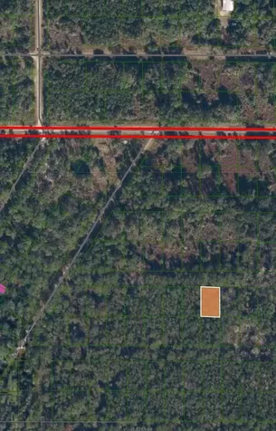 215 Laisy Drive Georgetown FL 32139