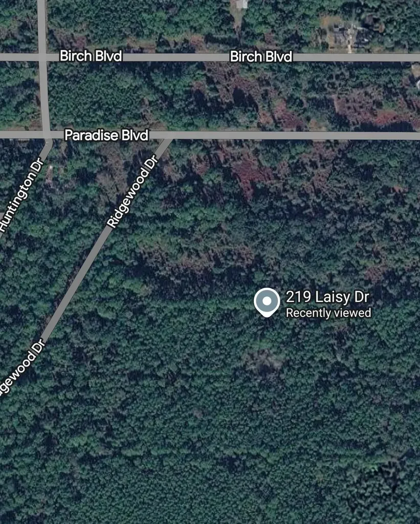219 Laisy Drive Georgetown FL 32139