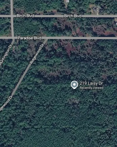 219 Laisy Drive Georgetown FL 32139