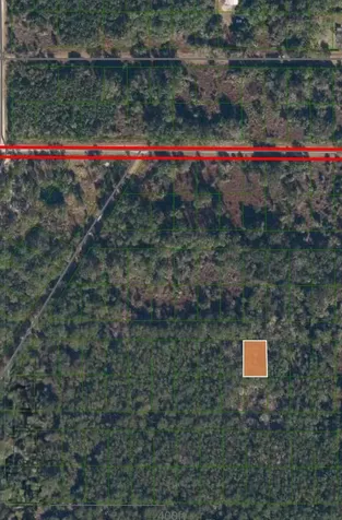219 Laisy Drive Georgetown FL 32139