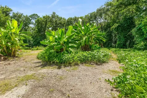 4235 Jefferson Avenue Hastings FL 32145