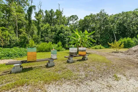 4235 Jefferson Avenue Hastings FL 32145
