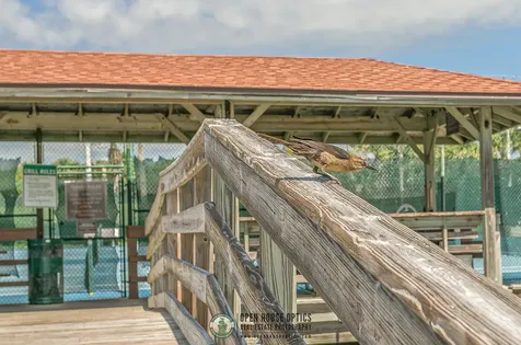 880 A1a Beach Boulevard #3128 St Augustine FL 32080