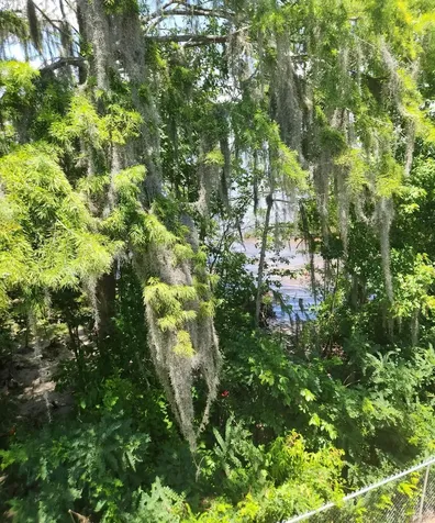 10339 N County Road 13 St Augustine FL 32092