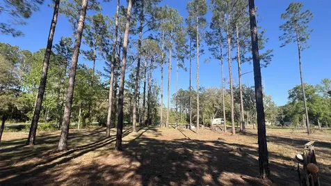 4698 Helena Street Hastings FL 32145