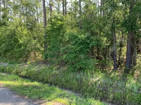 10040 Isaacson Avenue Hastings FL 32145