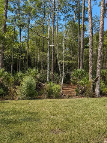 71 Pittman Court St Augustine FL 32086