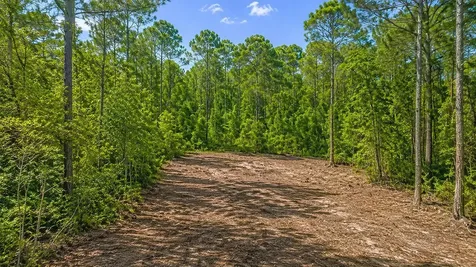 116 Terri Avenue Georgetown FL 32139