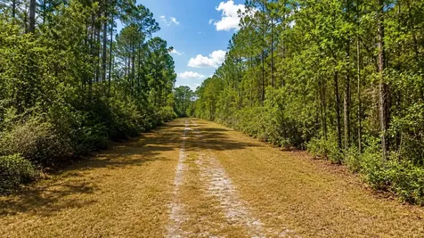 116 Terri Avenue Georgetown FL 32139