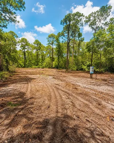 116 Terri Avenue Georgetown FL 32139