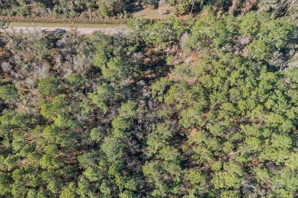10690 Gregory Hastings FL 32145