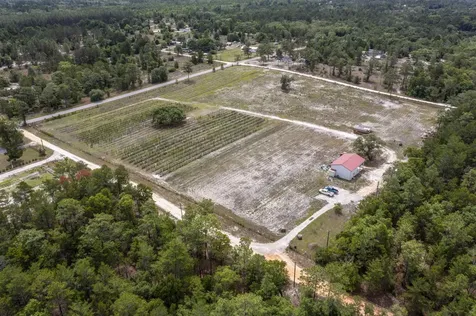 130 Strawberry Lane Pomona Park FL 32181