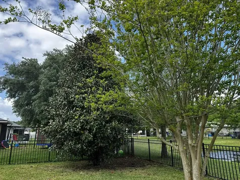 112 Fallen Timber Way St Augustine FL 32084