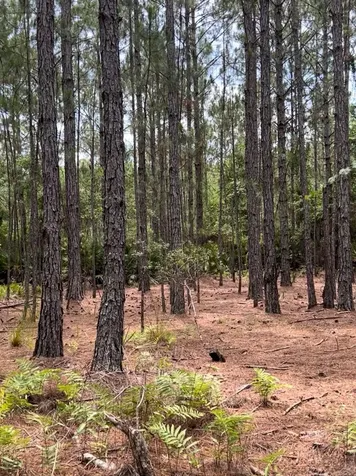 0 Carter Road St Augustine FL 32086