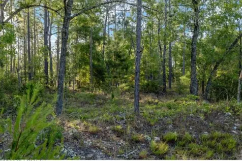 7397 Hoosier Avenue Keystone Heights FL 32656