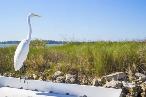 110 Ocean Hollow Lane #115 St Augustine FL 32084