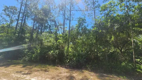 329 Palm Way Georgetown FL 32139