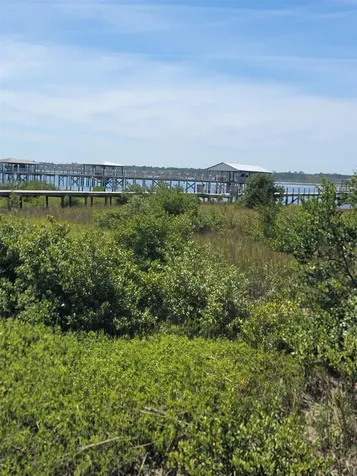 348 San Nicolas Way St Augustine FL 32080