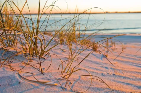 209 Lions Gate Drive St Augustine FL 32080